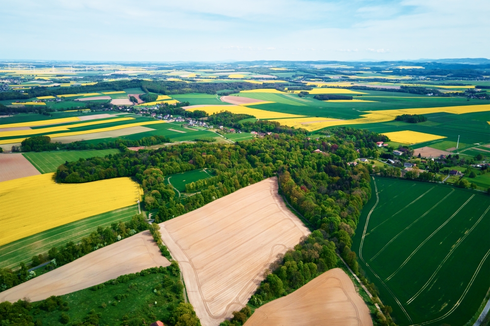 Repair Process: RDS Systems